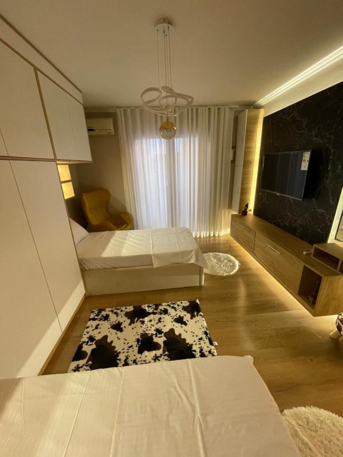 Superior 2Br Apartment ティラナ エクステリア 写真